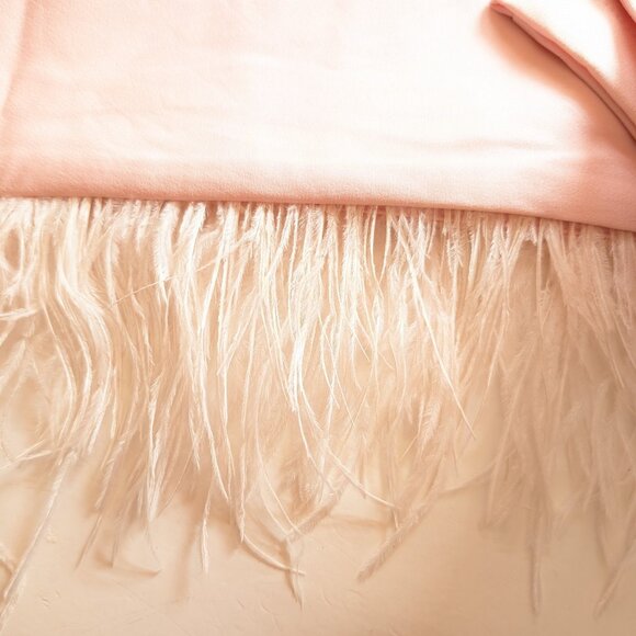 WHY DRESS x SIMONS PINK TUXEDO pants Sz S /~ 27 W * FEATHERED * FORMAL PARTY NWT - Picture 4 of 7